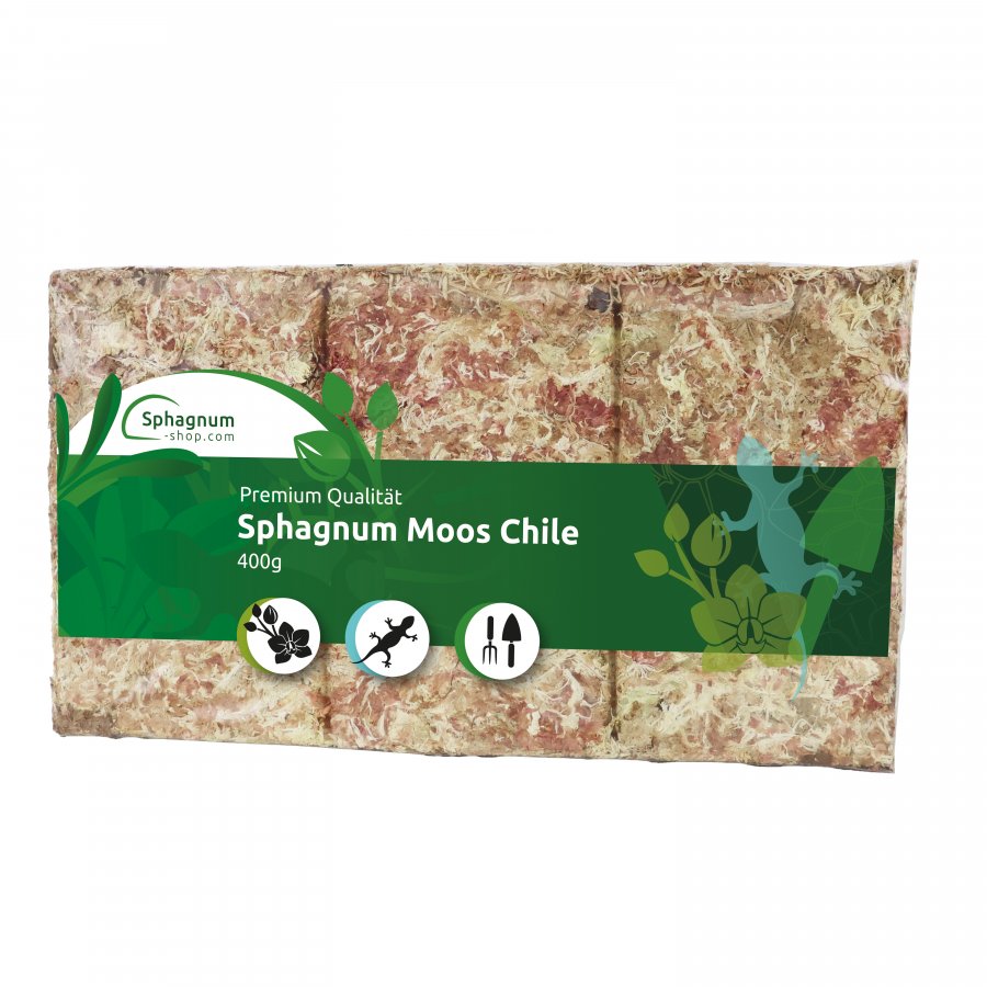 Sphagnum Moos aus Chile Ziegel 400g